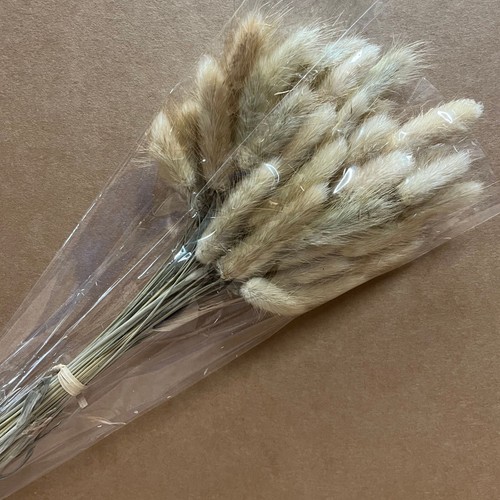 Dried bunny tail - bunny, x
