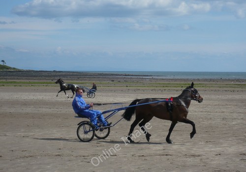 Photo 12x8 sulky racing - sulky,