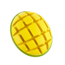 Bark Go Mango Chew Play Toy