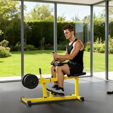 Seated Calf Raise Machine