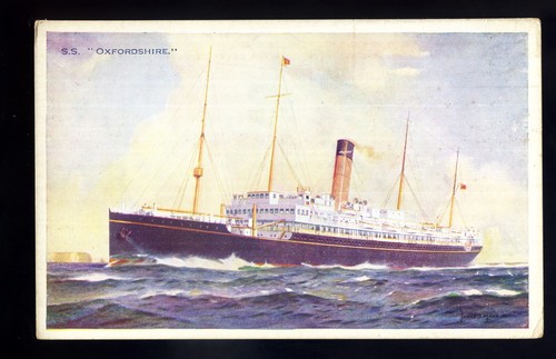 Ls3582 liner bibby line - -,