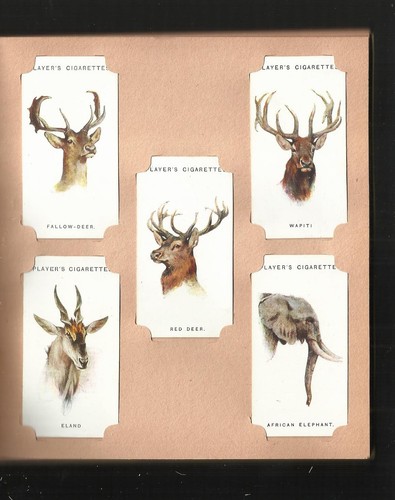 Old set wild - of,