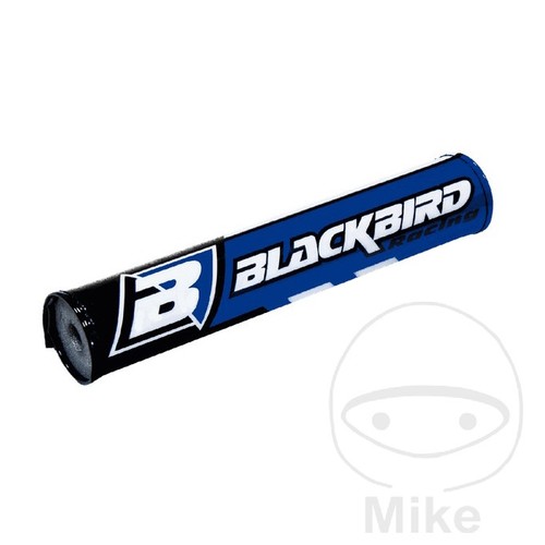 Blackbird racing motorcycle - racing,
