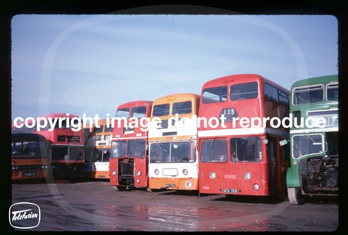 Original bus slide - original,