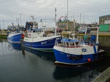Photo 6x4 Fishing vessels in