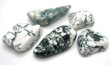 2 x Tree Agate Tumblestones Medium Sized Flat Shaped Tumblestones 25mm- 30mm