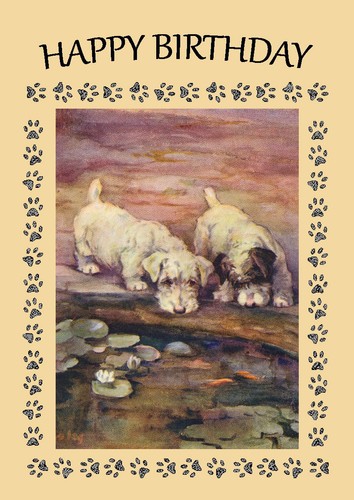 Sealyham terrier dog birthday - terrier,
