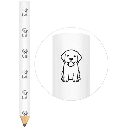 Cute puppy labrador - 3, x