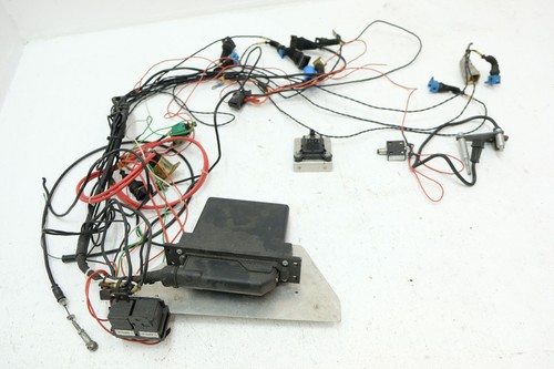 Efi control unit wiring - unit,
