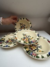 Titian Ware Hand Painted  Set
