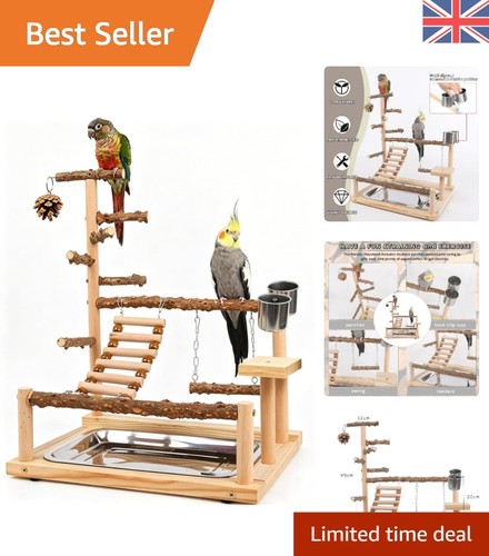 Multi color parrot play - multi-color,