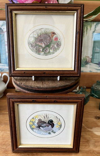 Sharon jervis set signed - sharon, 2