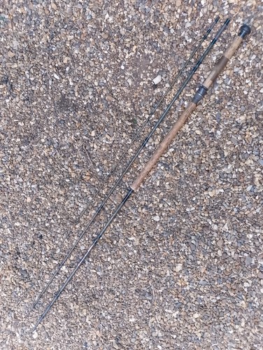 Daiwa whisker made with kevlar - daiwa,