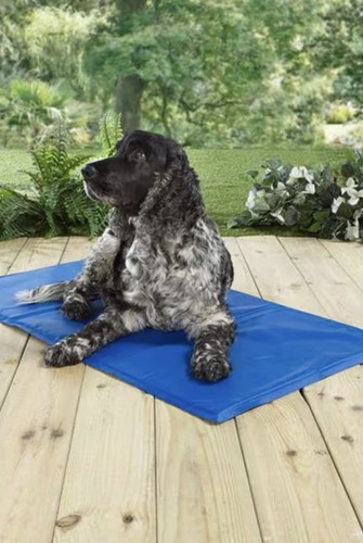 Studio pet cooling mat - pet,