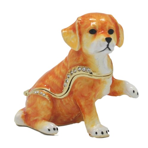 Golden retriever dog pup paw - golden,