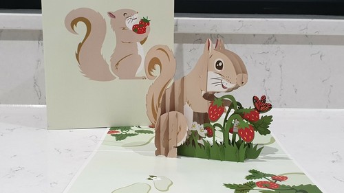 Cutie pop squirrel - cutie, 3d