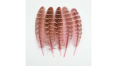 Natural pheasant tail - pheasant,