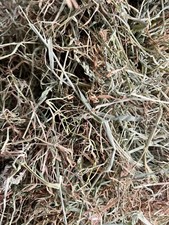 2kg of Fresh 2025 IRISH MEADOW