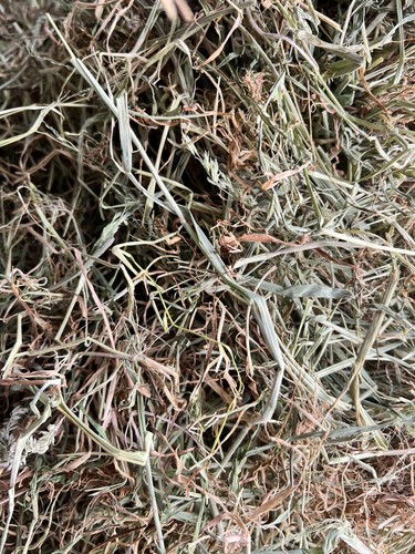 2kg fresh 2025 irish meadow - 2kg,