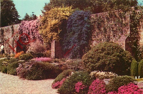 Postcard windsor great park - great,