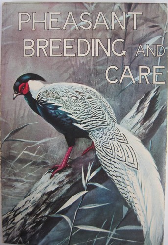 Pheasant breeding and care - breeding,