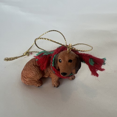 Dachshund brown puppy - dachshund, with