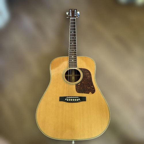 Aria acoustic guitar g300 - acoustic,