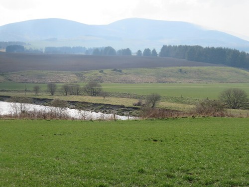 Photo the river - photo,