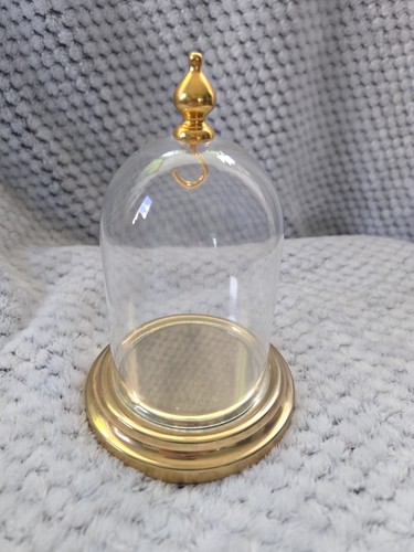 Brass display dome - dome, conche
