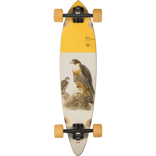 Globe longboard pintail - pintail, 34