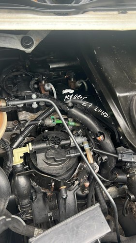 Peugeot expert dispatch - e7,