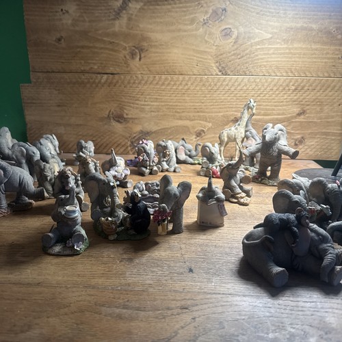 Tusker elephant collection - elephant,