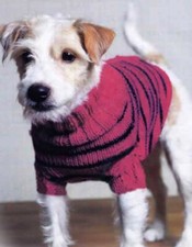 D.K EASY KNIT DOG COAT SWEATER JUMPER KNITTING PATTERN NUMBER 2     30-50CM LONG