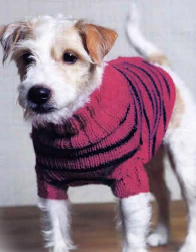 Easy knit dog coat - dog, sweater