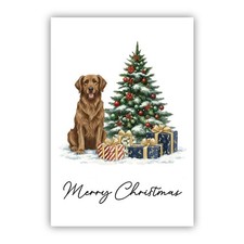 Chesapeake Bay Retriever Dog