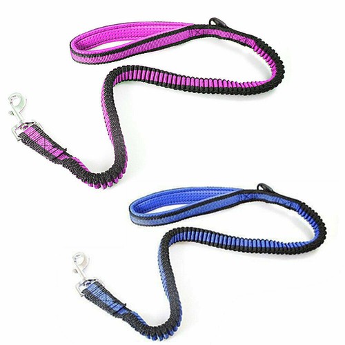 Running pet belt bungee - running,