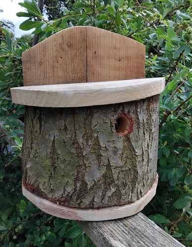 Nest box large - -, carved