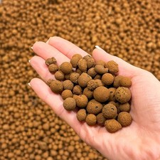 bhomescent Clay Pebbles for