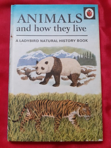 Vintage ladybird book - ladybird,