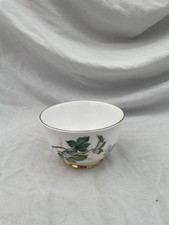 Vintage Salisbury White Rose