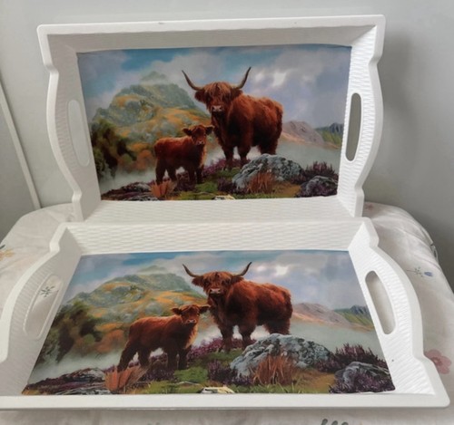Big size highland cow - x,