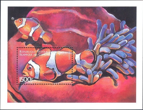 Comores comoro islands 1999 - comores/comoro,