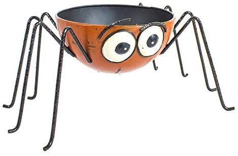 Novelty halloween decorative - novelty,