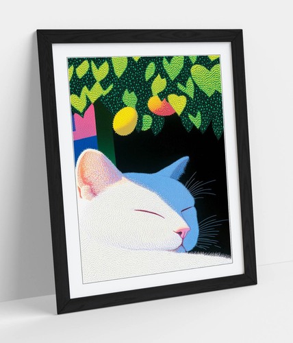 Cute white cat - white,