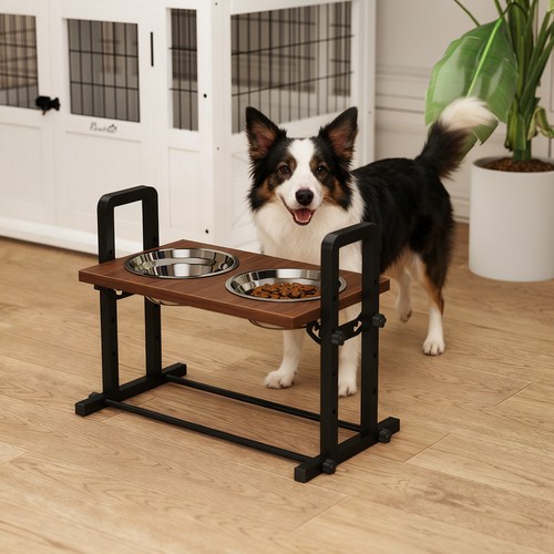 Raised elevated dog - raised, with