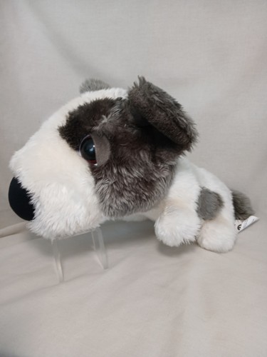 One big head - a-one, dog