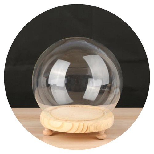 Display dome with base - dome,