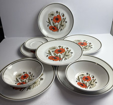J & G Meakin Poppy Pattern 10"
