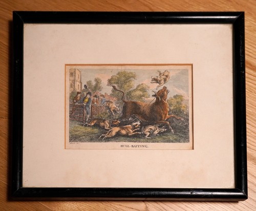 Antique coloured engraving - antique,