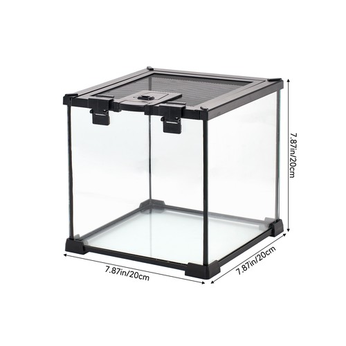 Small reptile glass terrarium - reptile,